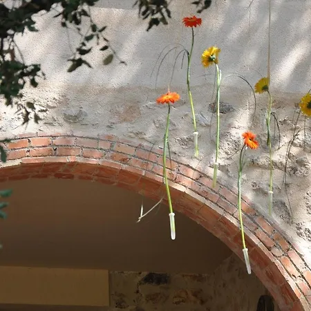 Mas Corbella Villa Alcover